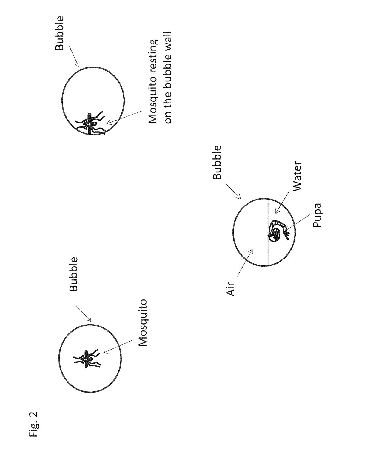 Method for encapsulation and release of fragile insects