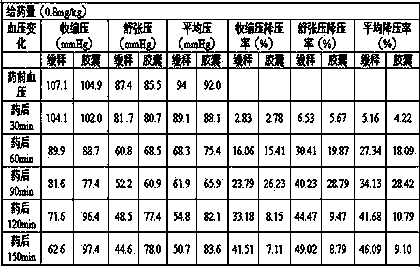 Slow-release preparation of Hainan holly leaf extract and preparation method of preparation