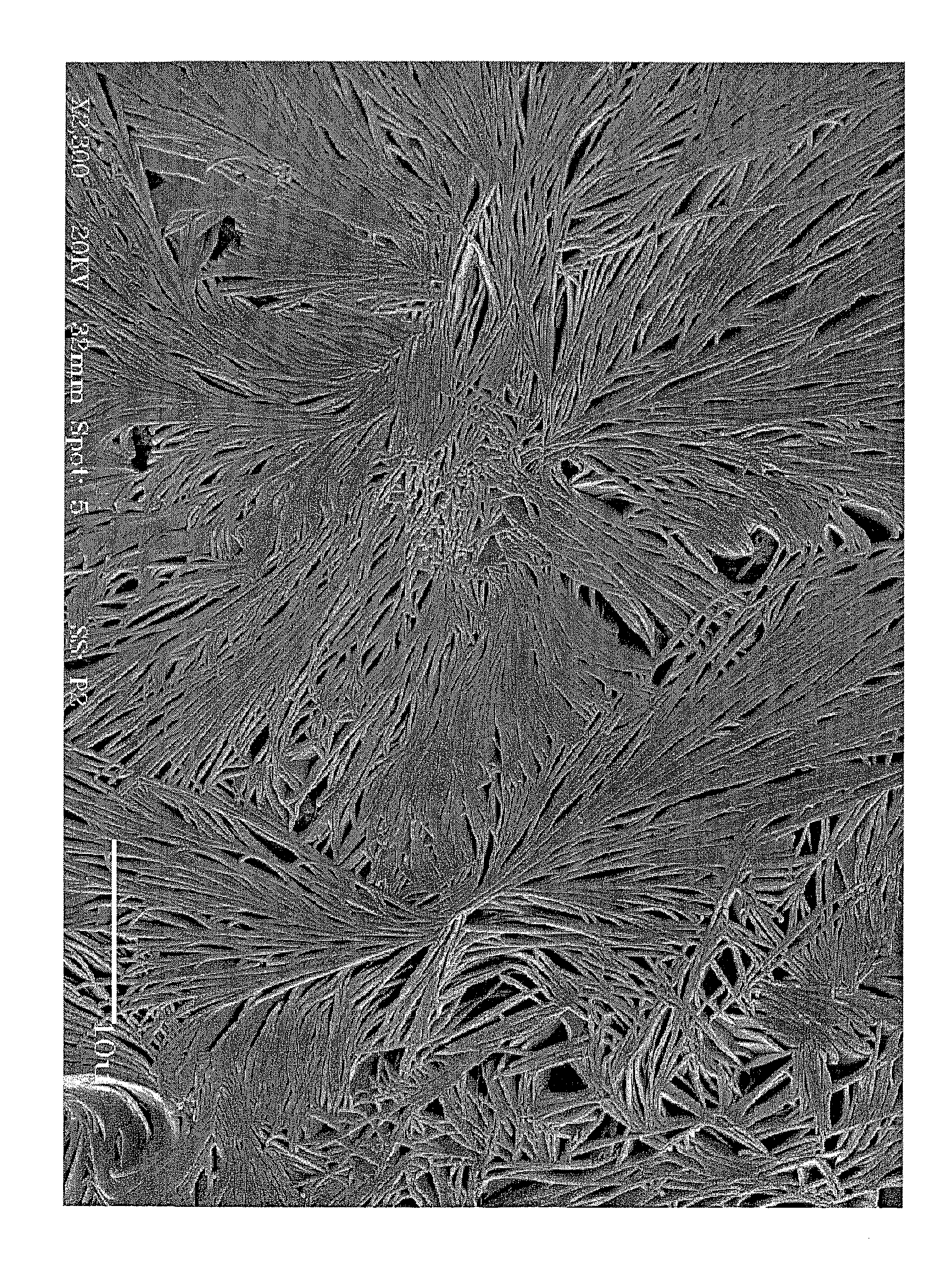 Method of making dendritic magnetic nanostructures
