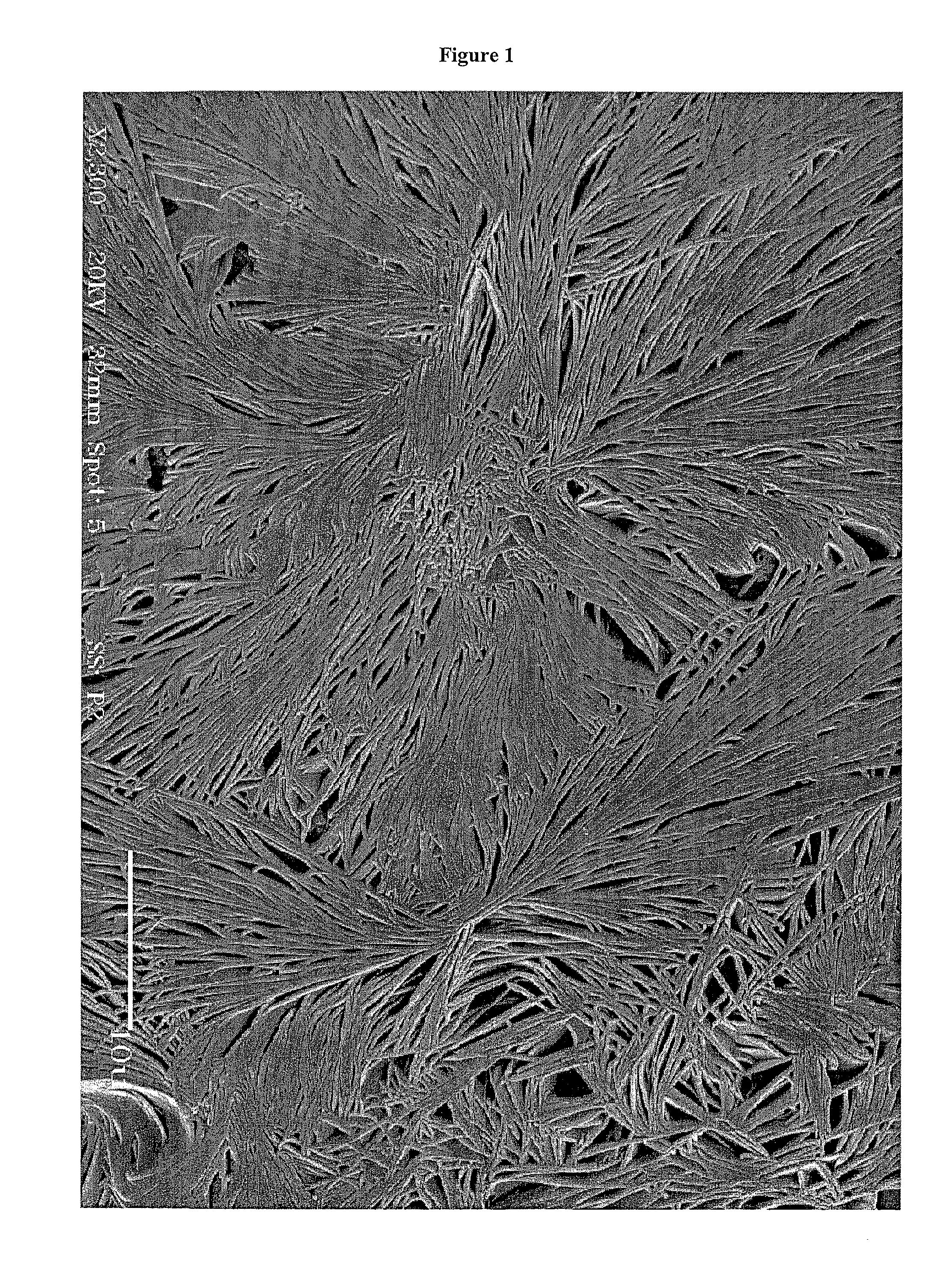 Method of making dendritic magnetic nanostructures