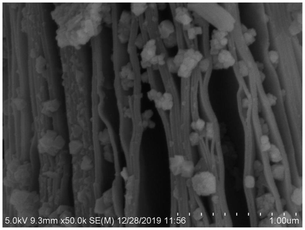 Graphite-coated metal particle-containing silicon nanosheet fast-charging negative electrode material, method and battery