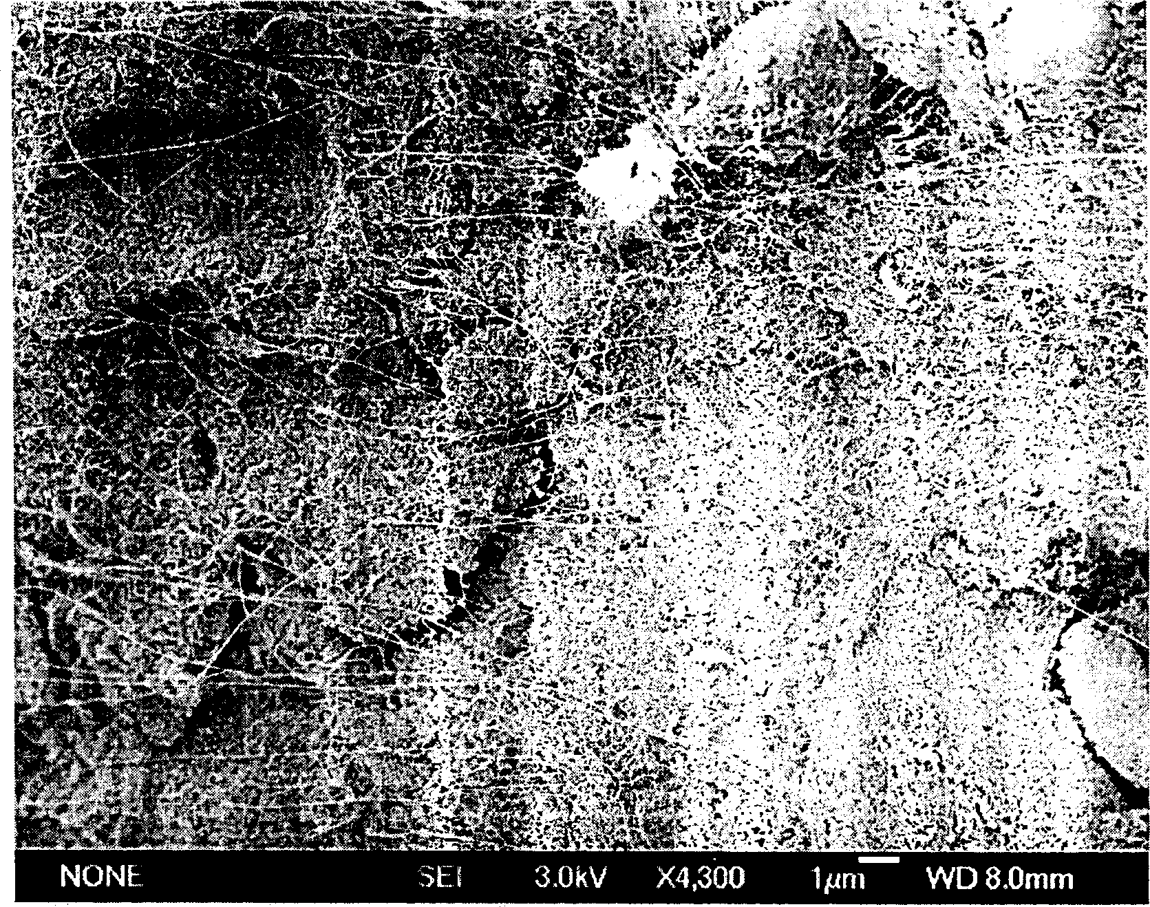 Process for preparing tree-shaped carbon nano tube