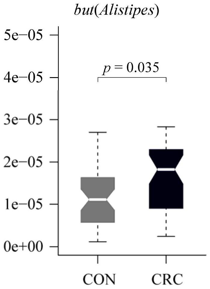 Primer pairs and kits for detecting butyrate synthesis genes