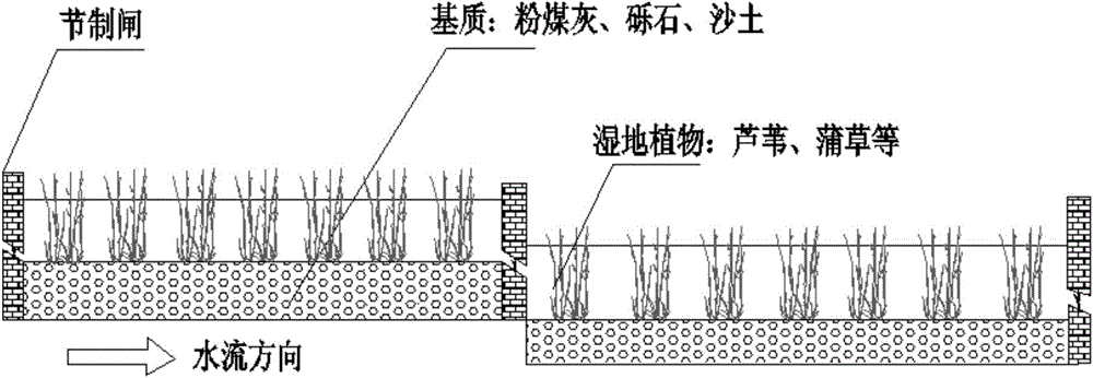 Method for water resource cascade adjustment control and water quality ecological purification in high groundwater level coal-mining subsidence area