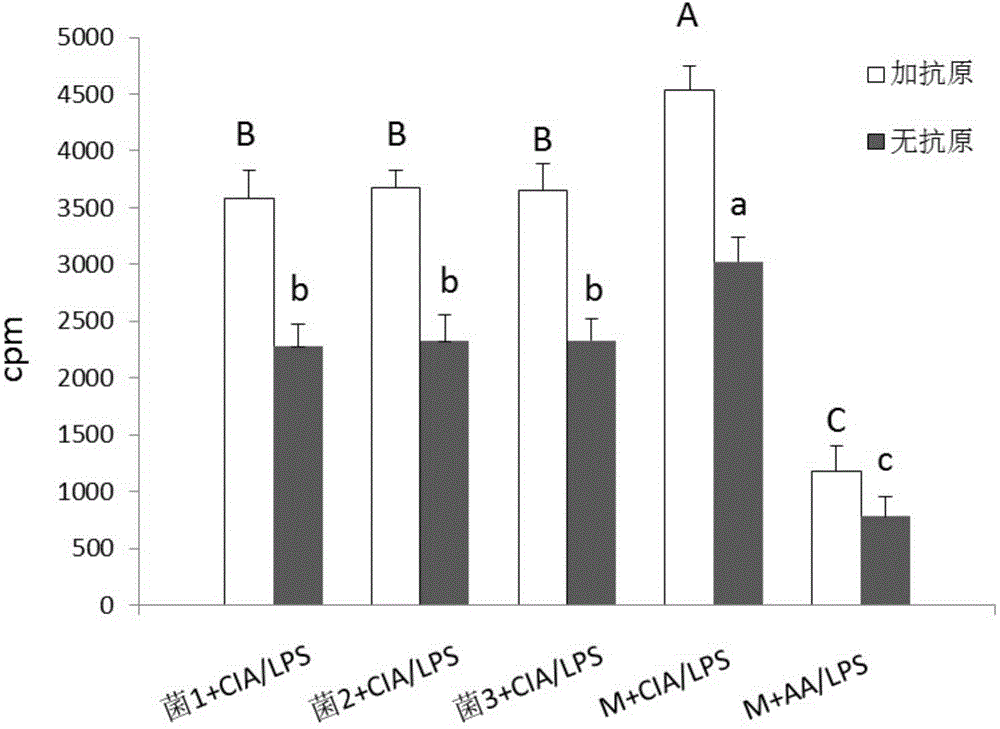 Application of dialister invisus in treating or preventing rheumatoid arthritis or related diseases