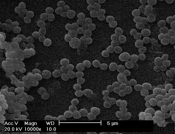 Application of Achromobacter sp. MT-H in degradation of di-2-ethyl hexyl phthalate (DEHP)