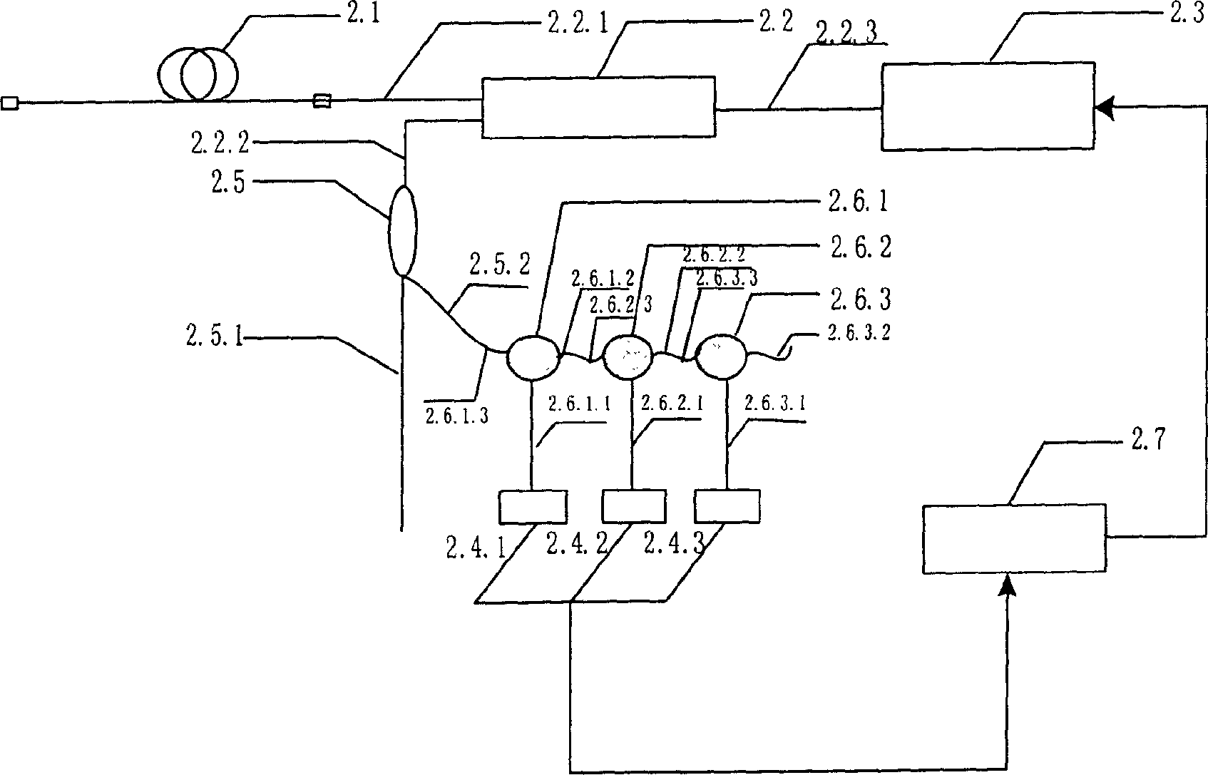 Raman gain real time dynamic control and compensation method and its Raman optical-fibre amplifier