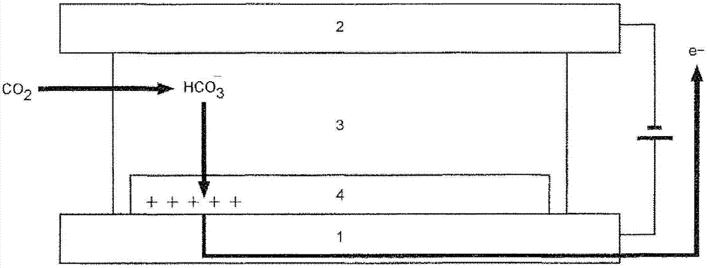 Device for adsorbing and emitting carbon dioxide