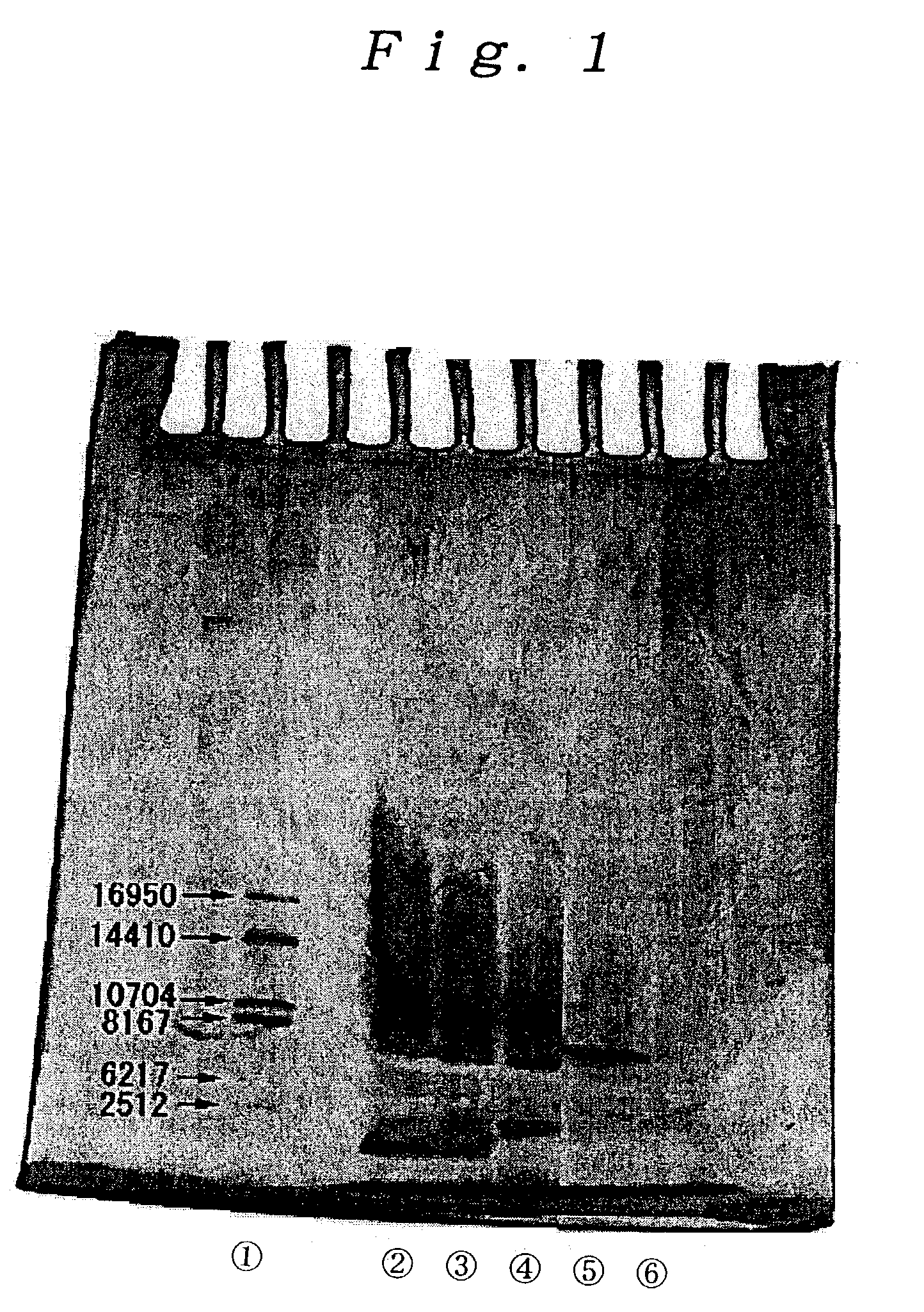 Purifield cochineal and method for its production