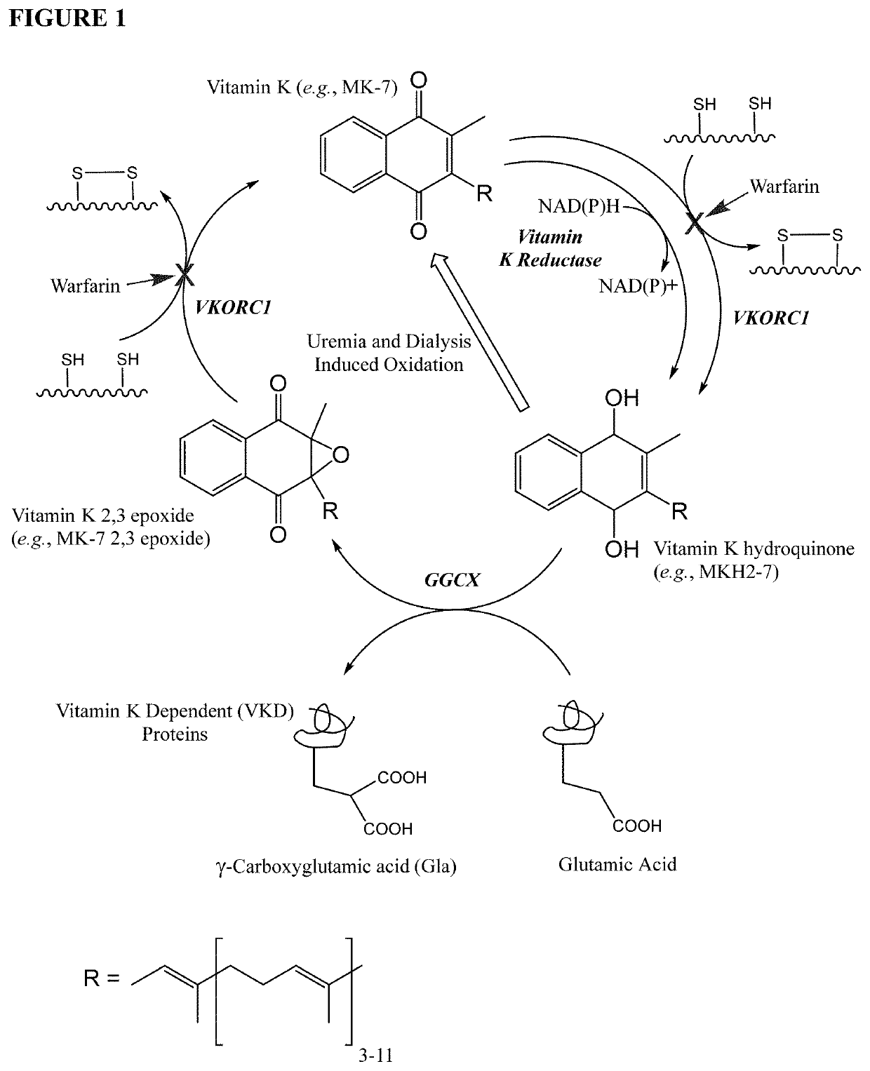 Methods and compositions for preventing or treating calciphylaxis