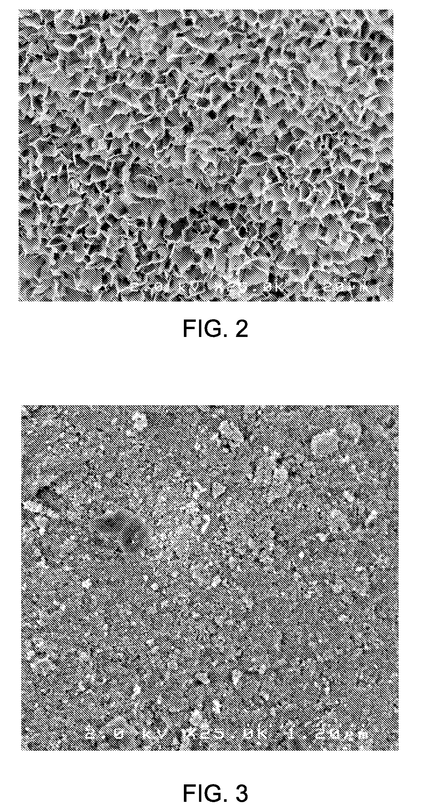 Templated catalyst composition and associated method