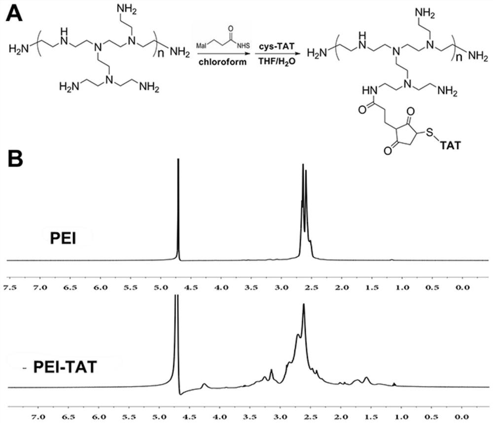 Tumor-targeted multifunctional non-viral gene vector and preparation method and application thereof