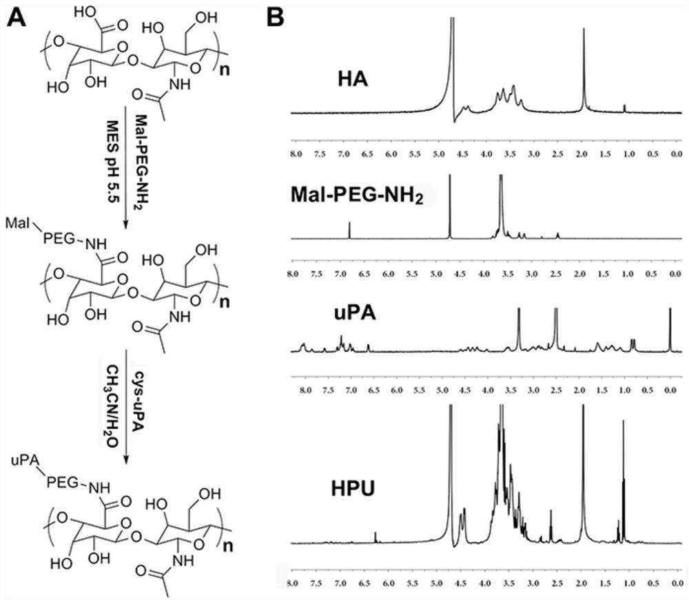 Tumor-targeted multifunctional non-viral gene vector and preparation method and application thereof