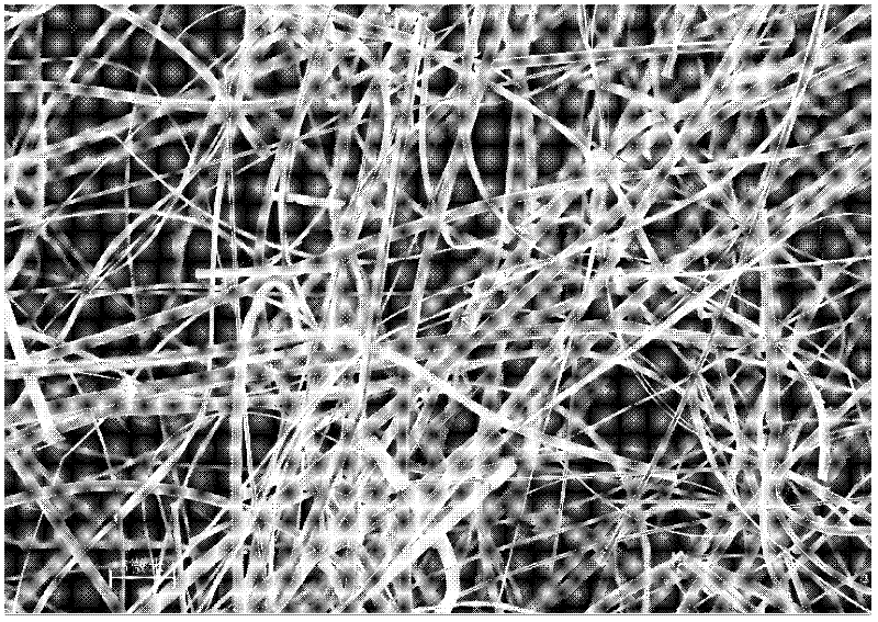 Method for quickly preparing zinc oxide nanobelt under air atmosphere