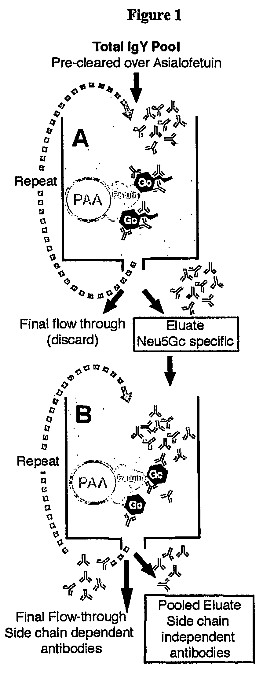 Methods for detecting and analyzing N-glycolylneuraminic acid (Neu5Gc) in biological materials