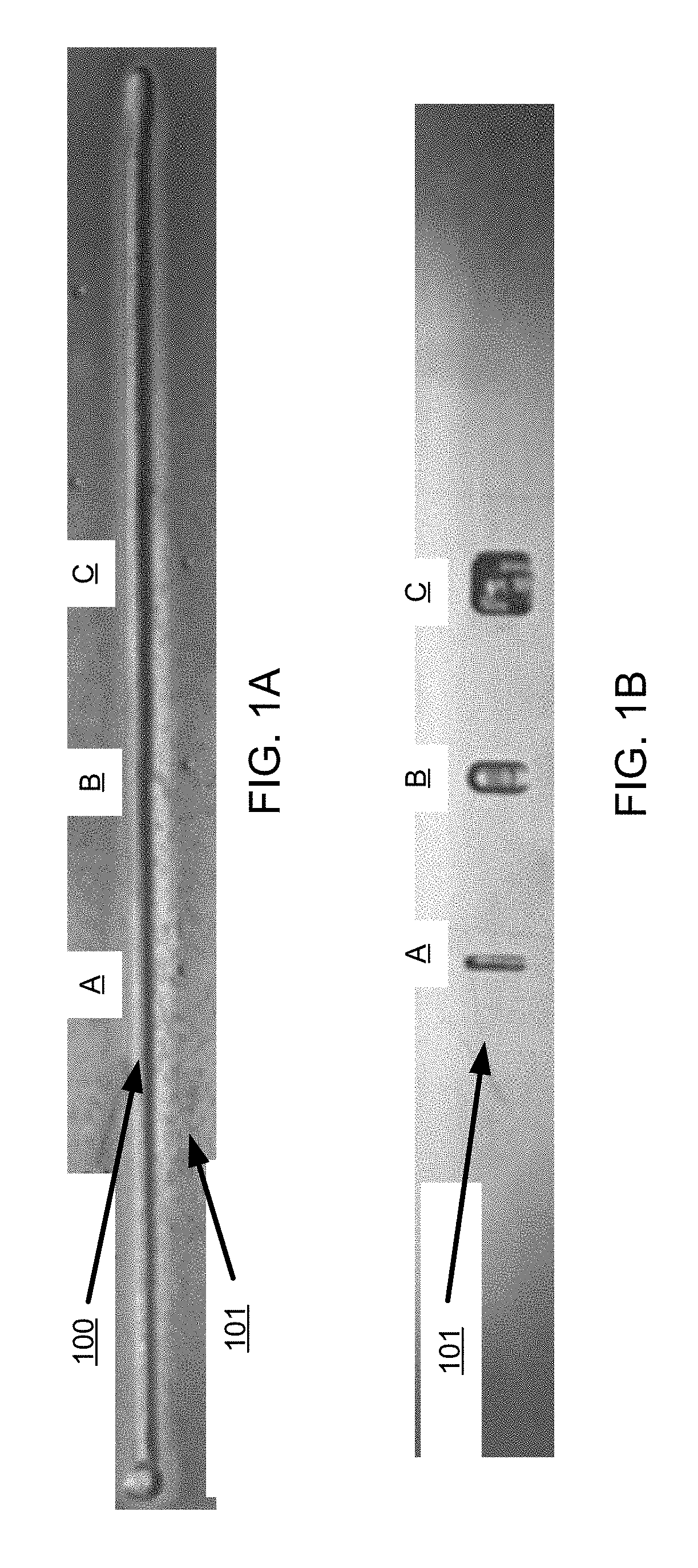 System and Method for In-Situ Characterization and Inspection of Additive Manufacturing Deposits Using Transient Infrared Thermography