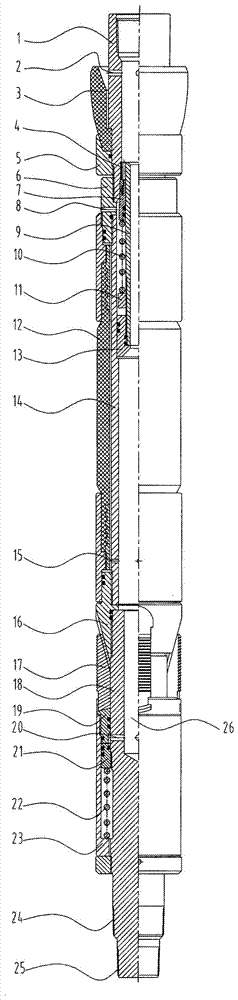 Wellhead pressure testing and seal examining device