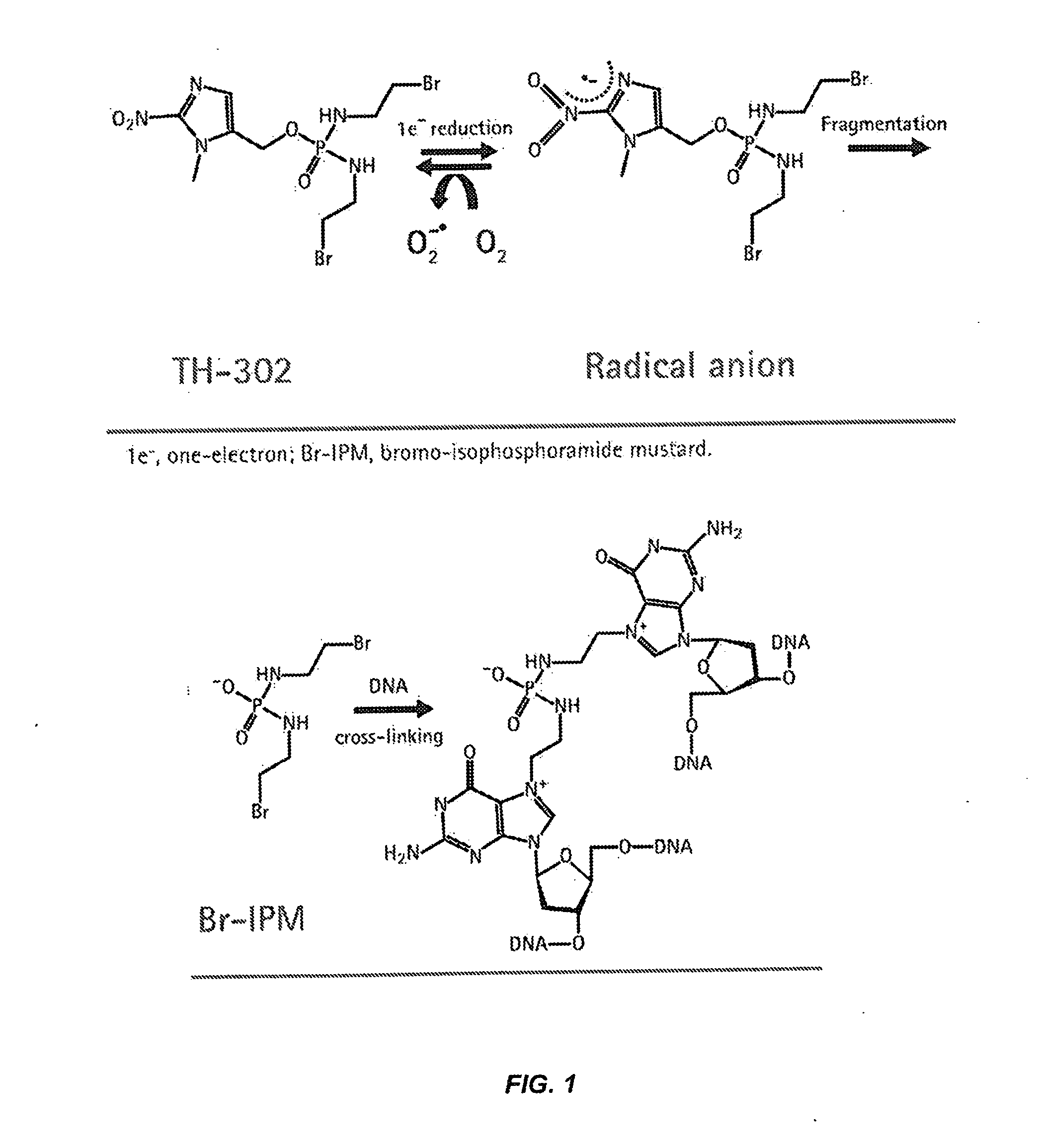 Treatment of Cancer