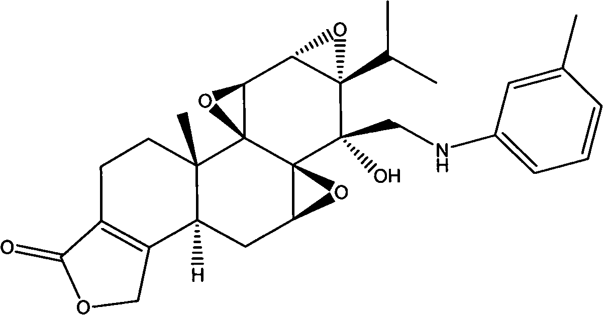 N-substituted methyl phenyl-14 beta -(aminomethyl) triptodiolide derivative and preparation method and application thereof