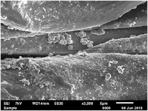 Method for directly synthesizing titanium dioxide nanoparticles on fabric fiber in situ