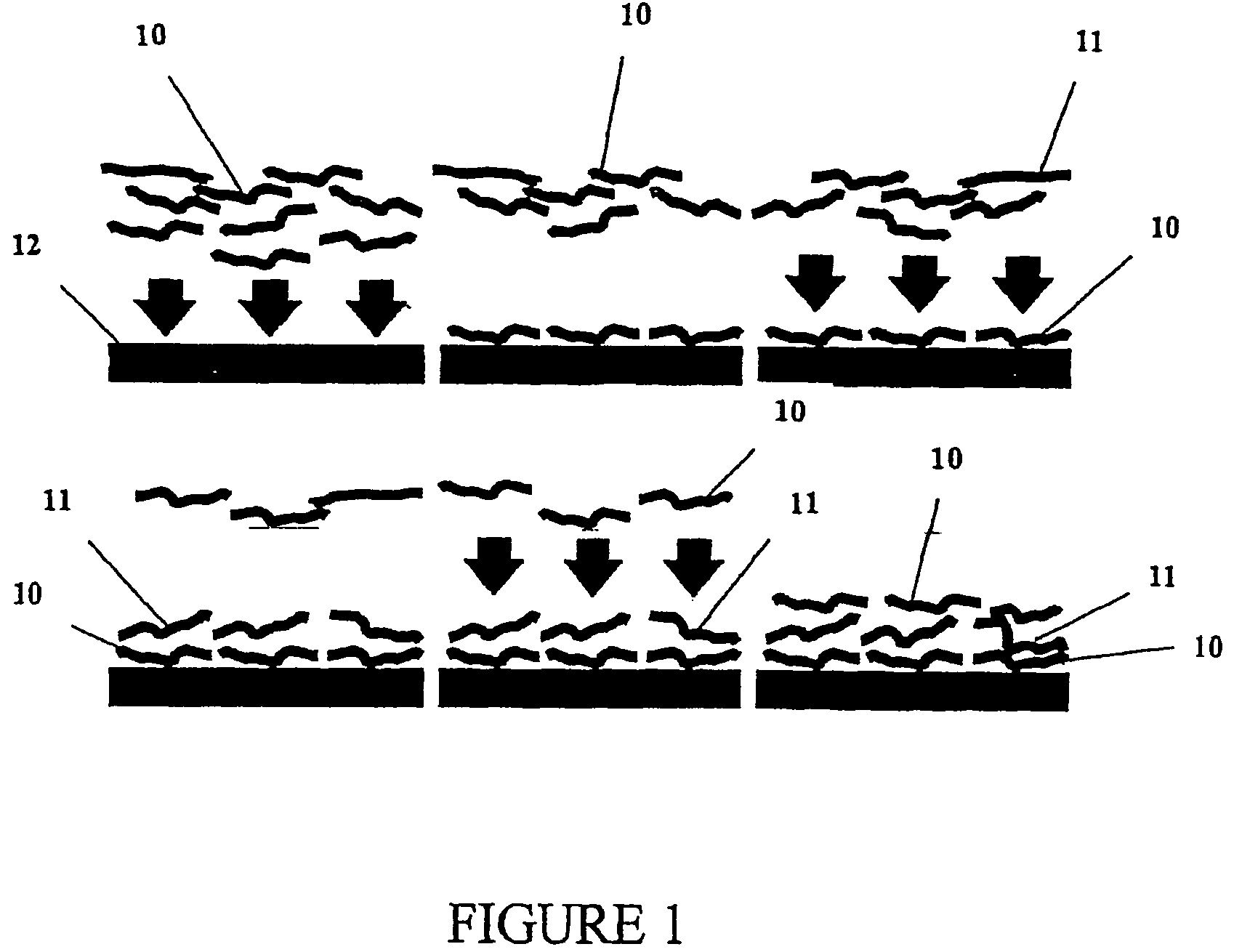 Multilayer films, coatings, and microcapsules comprising polypeptides