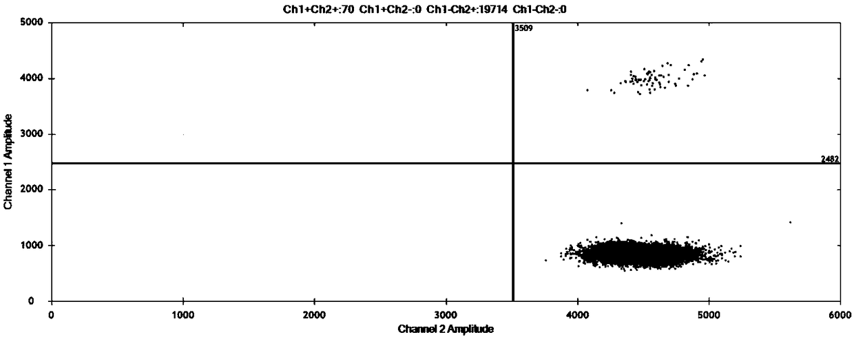 Double digital PCR (polymerase chain reaction) method of African struthio camelus derived ingredient quantitative detection