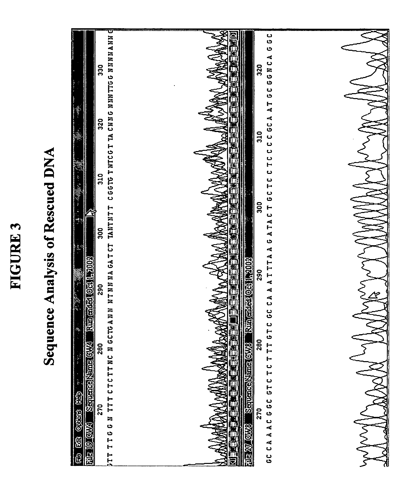 Methods and compositions for amplification of dna