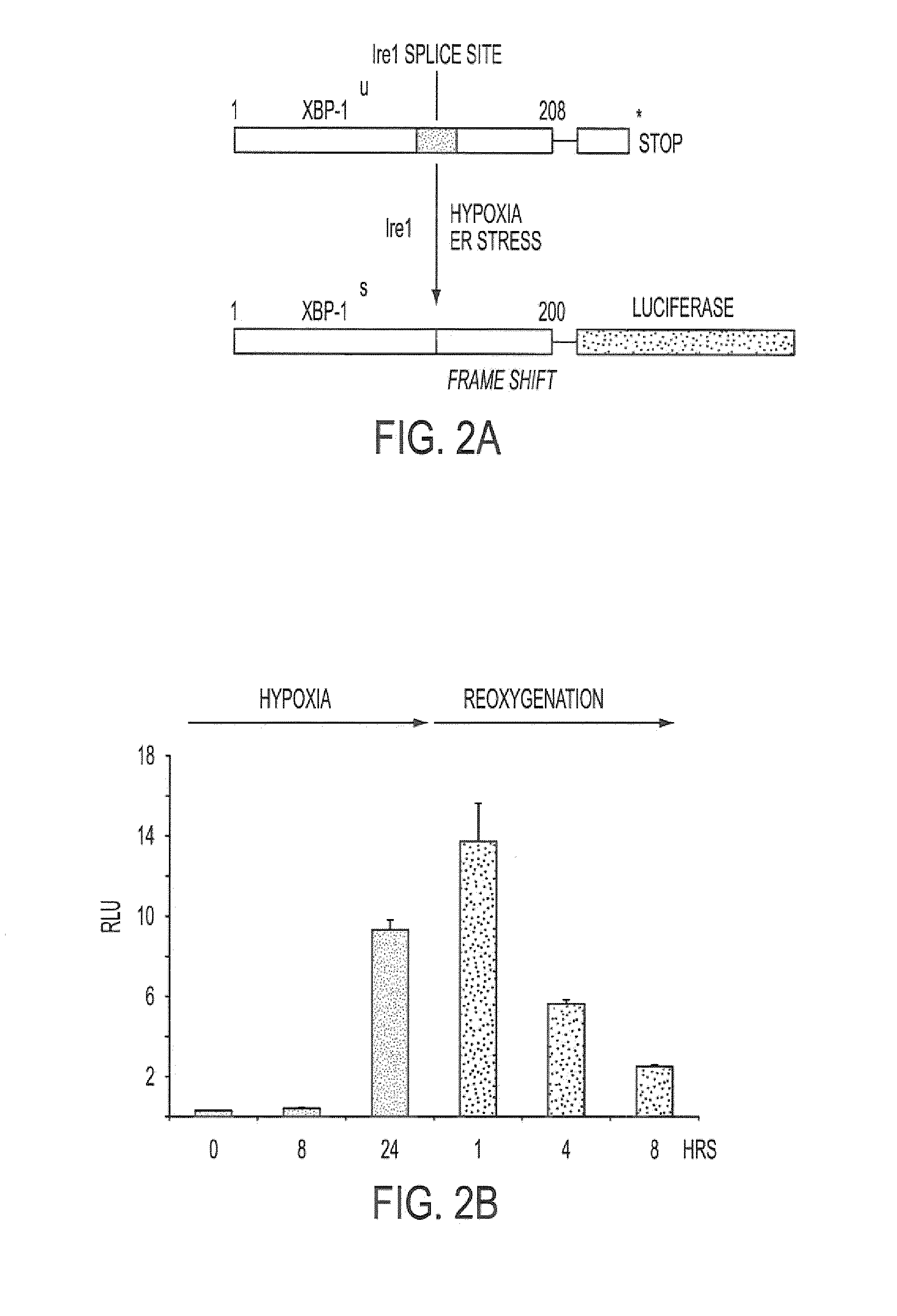 Inhibitors of the unfolded protein response and methods for their use