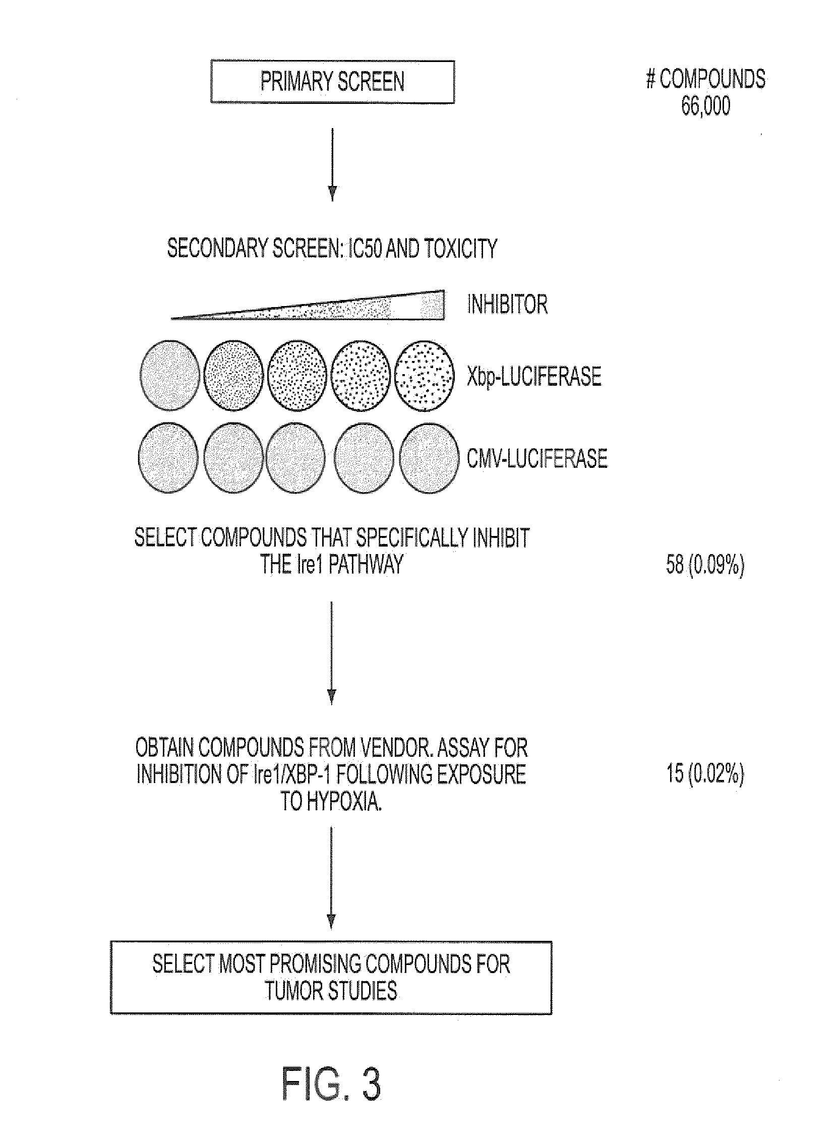 Inhibitors of the unfolded protein response and methods for their use