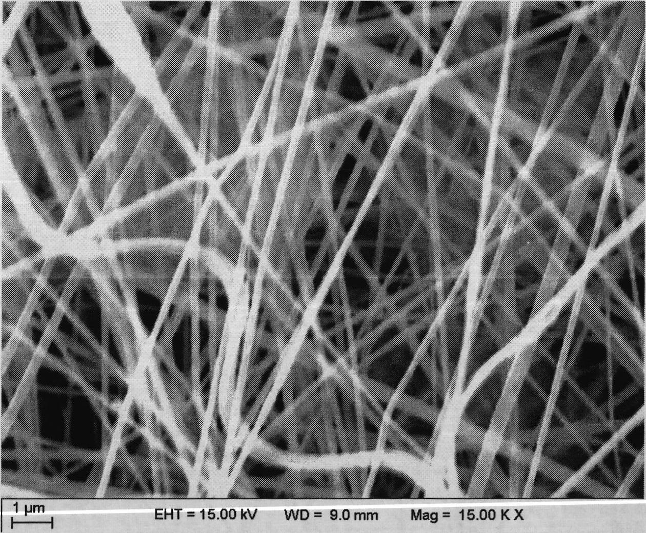 Porous carbon nanofiber anode material for lithium ion battery and preparation method thereof