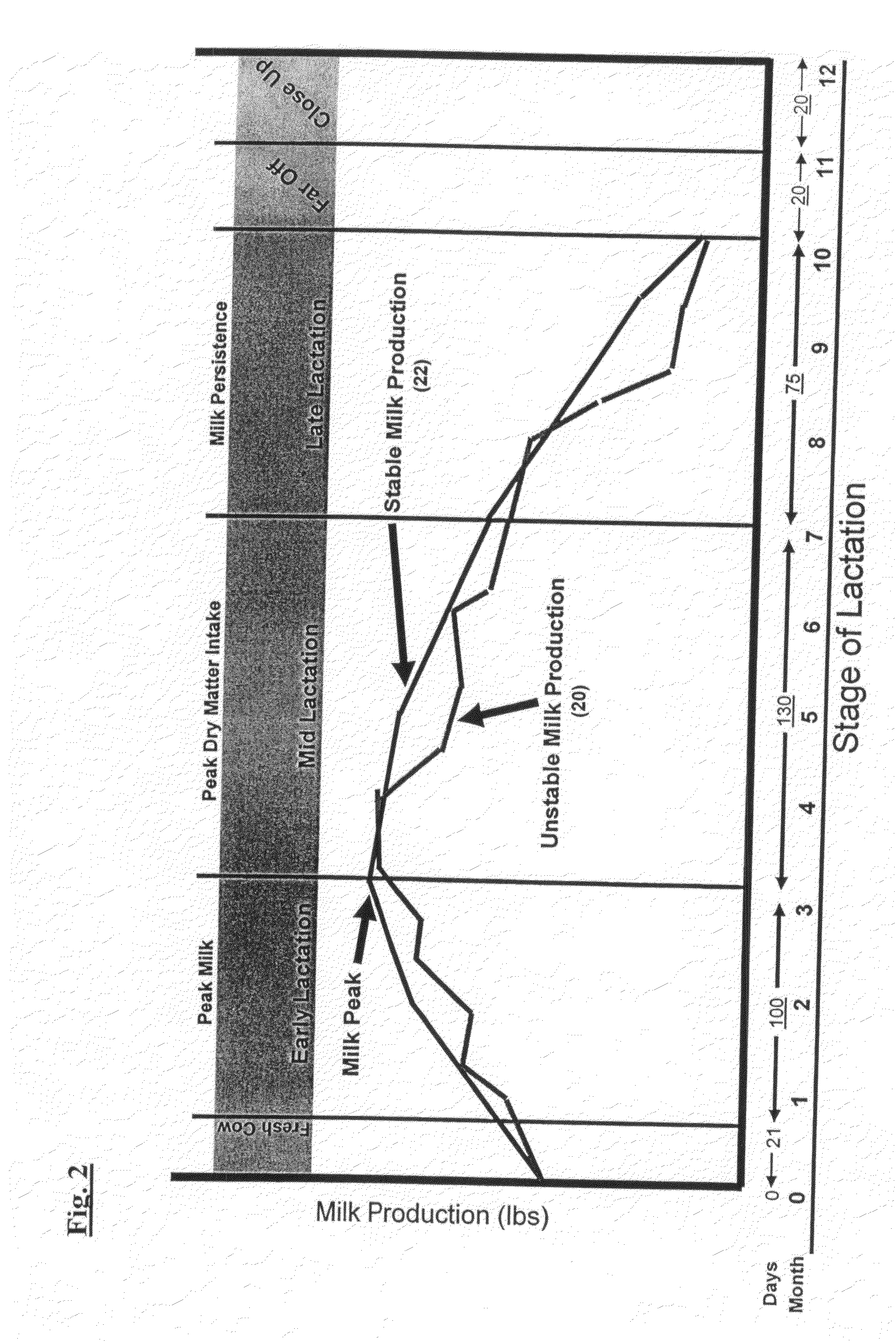 Method and feed for enhancing ruminant animal nutrition