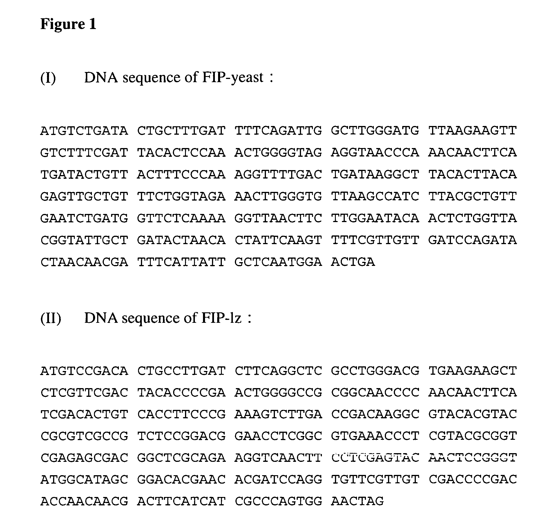 Fungal immunomodulatory protein (FIP) prepared by microorganisms and uses thereof