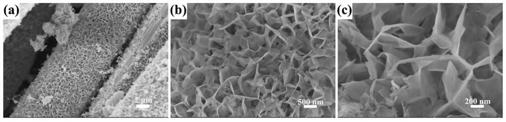 Flexible honeycomb bimetallic nitride supercapacitor electrode and preparation method thereof