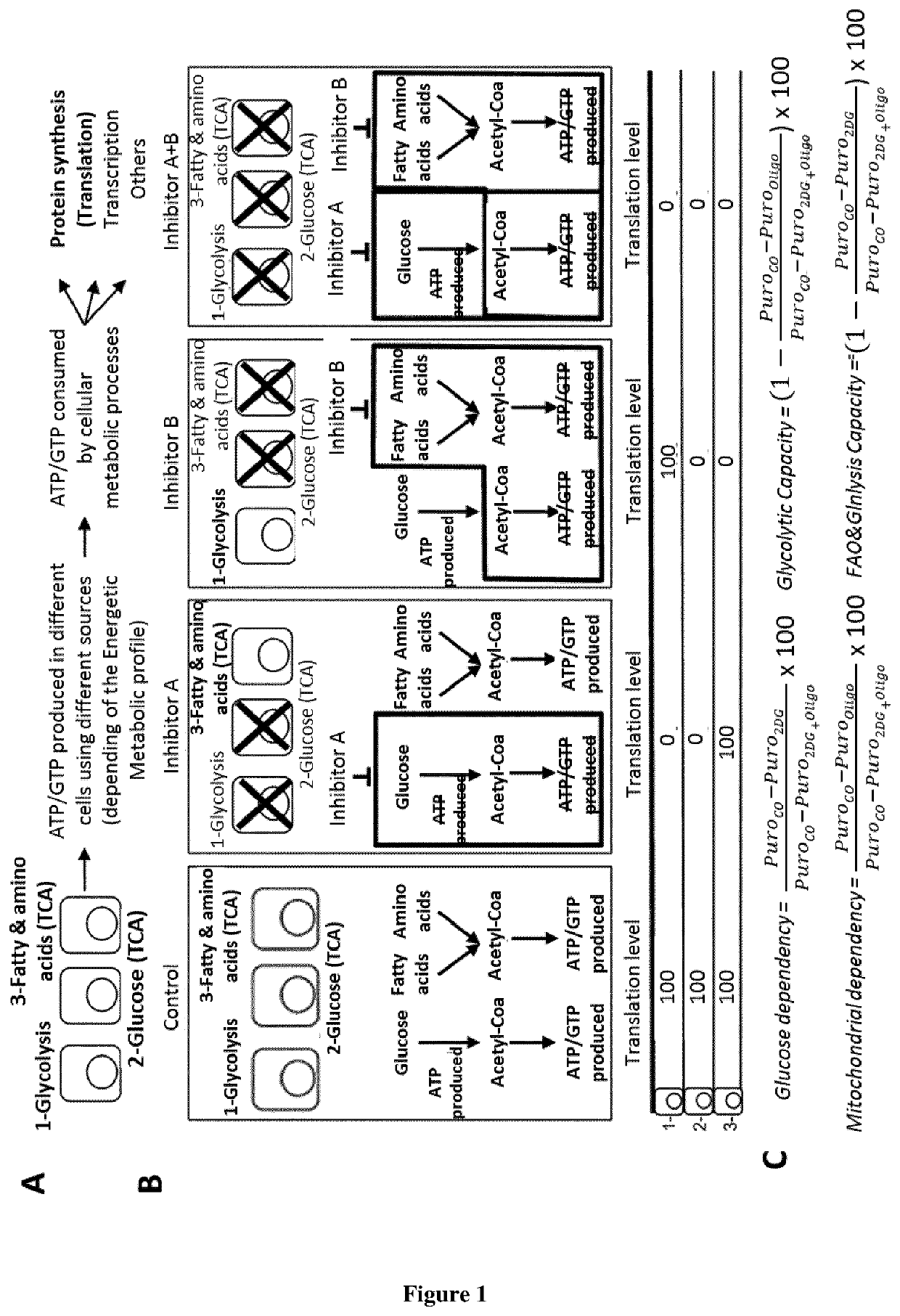 A method of profiling the energetic metabolism of a population of cells