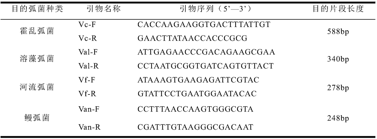 Multiplex PCR primer set, detection method and kit for simultaneously detecting four kinds of pathogenic vibrio bacteria