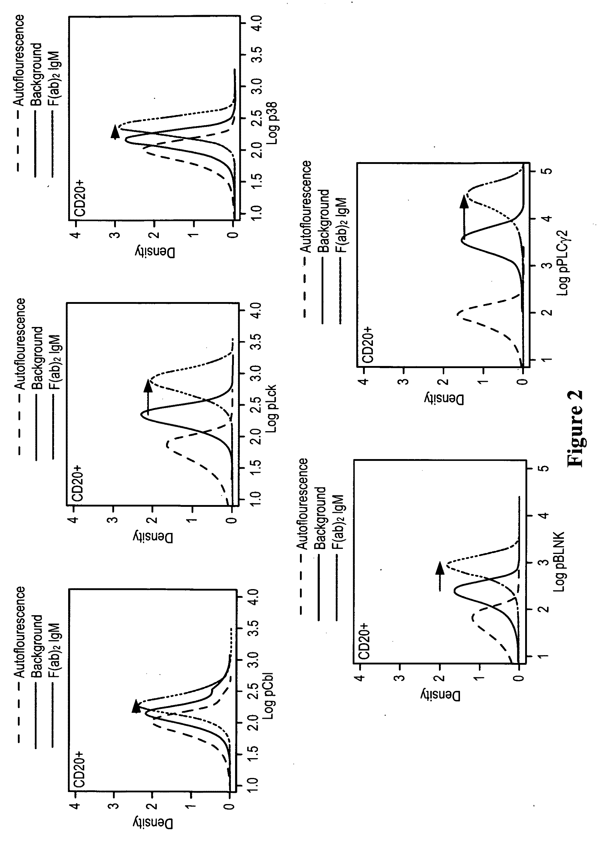 Methods for diagnosis prognosis and methods of treatment