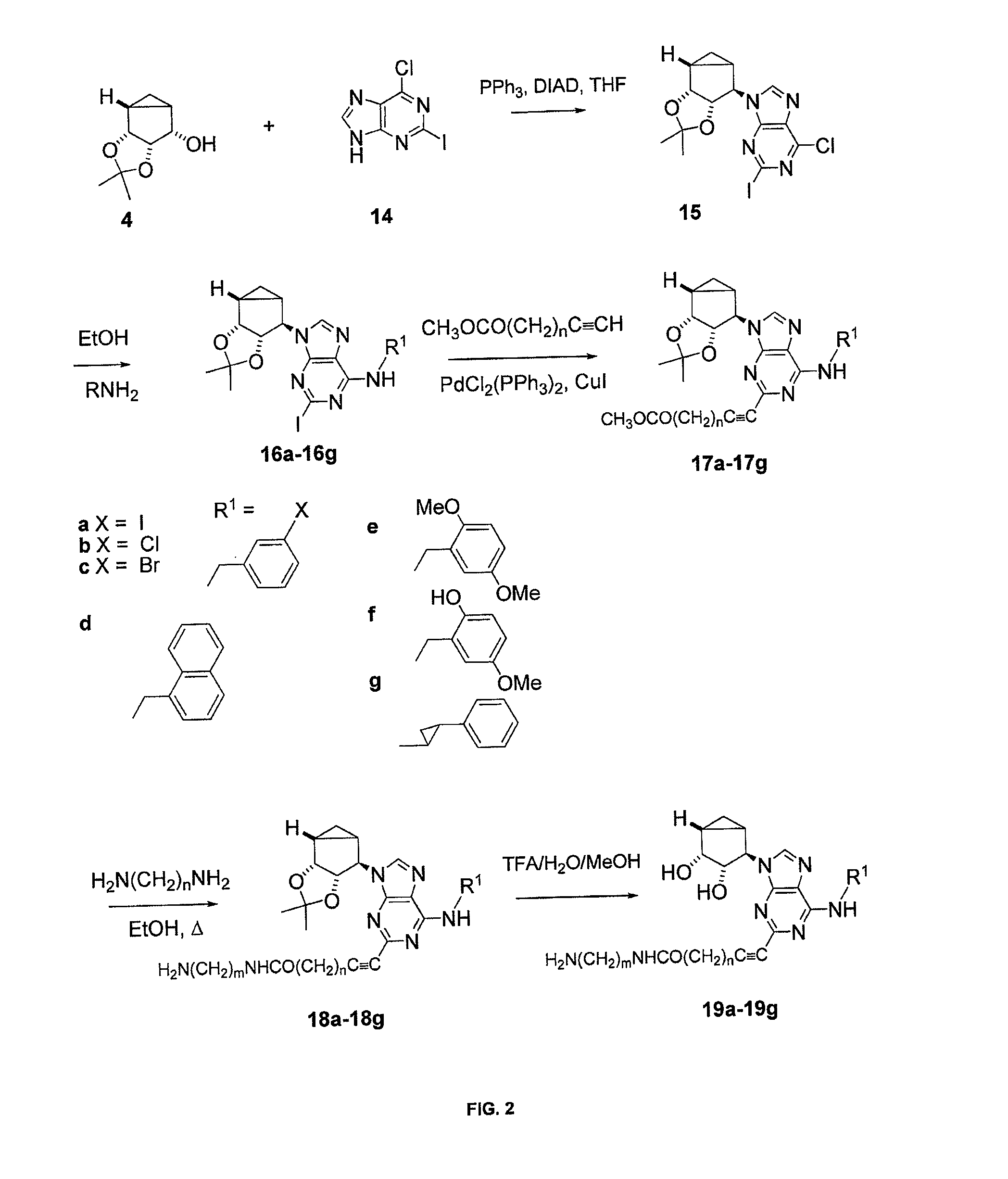A3 adenosine receptor antagonists and partial agonists