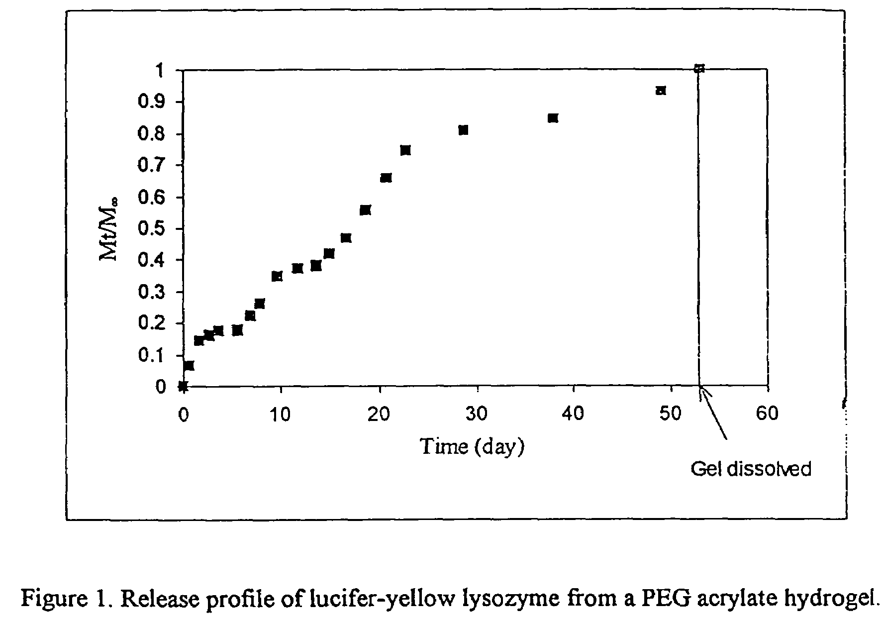 Degradable heterobifunctional poly(ethylene glycol) acrylates