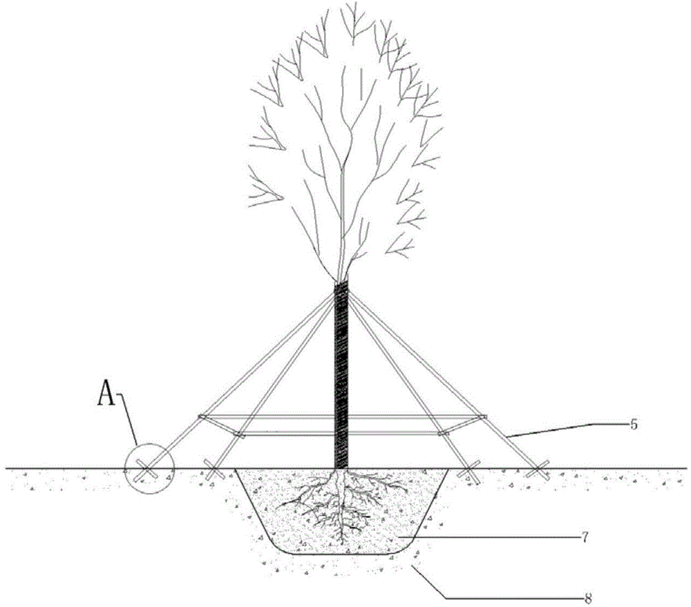 Anti-collapse device used for sandy soil nursery stock support and use method of anti-collapse device