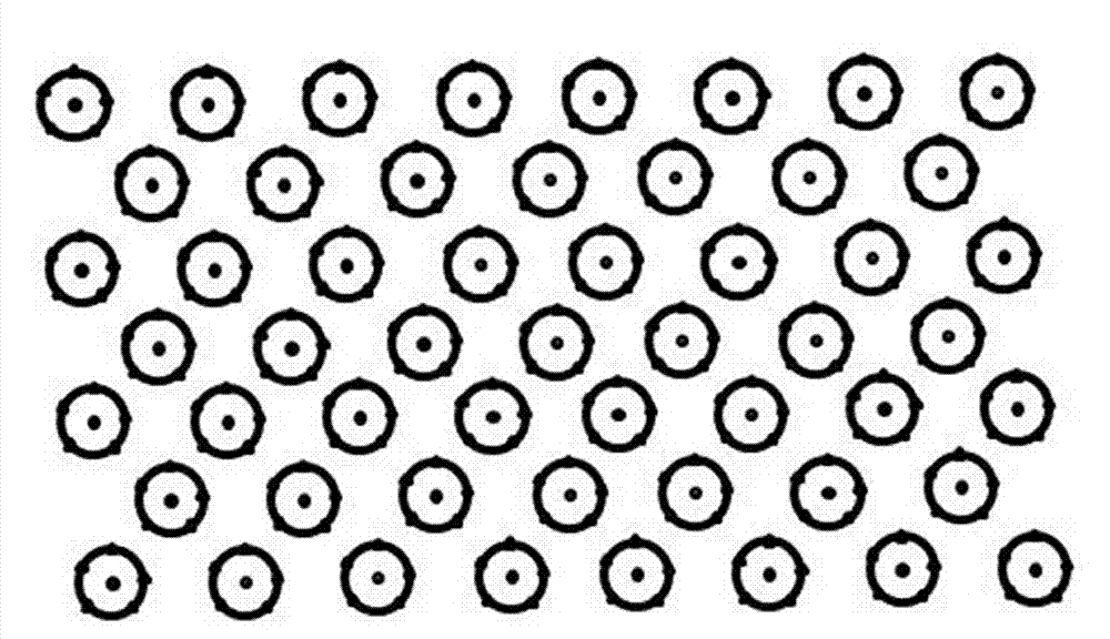 Interplanting method of shiny-leaved yellowhorn and lycium barbarum