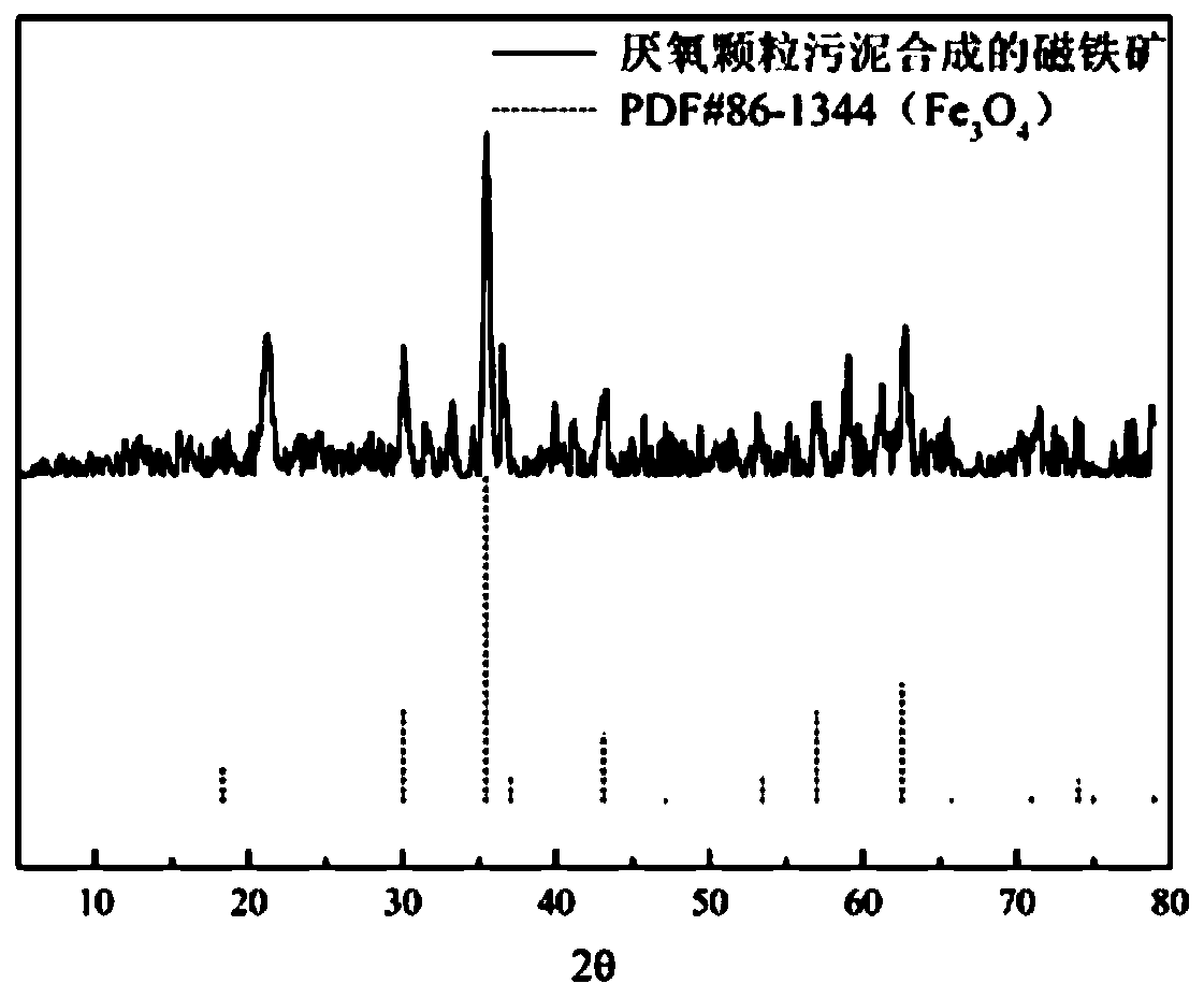 Method for increasing yield of methane by using anaerobic granular sludge loaded with biological nano Fe3O4