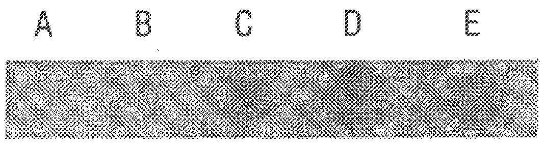 Methods for producing heterologous disulfide bond-containing polypeptides in bacterial cells