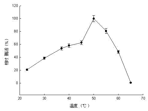 Pullulanase XWPu2 and gene thereof