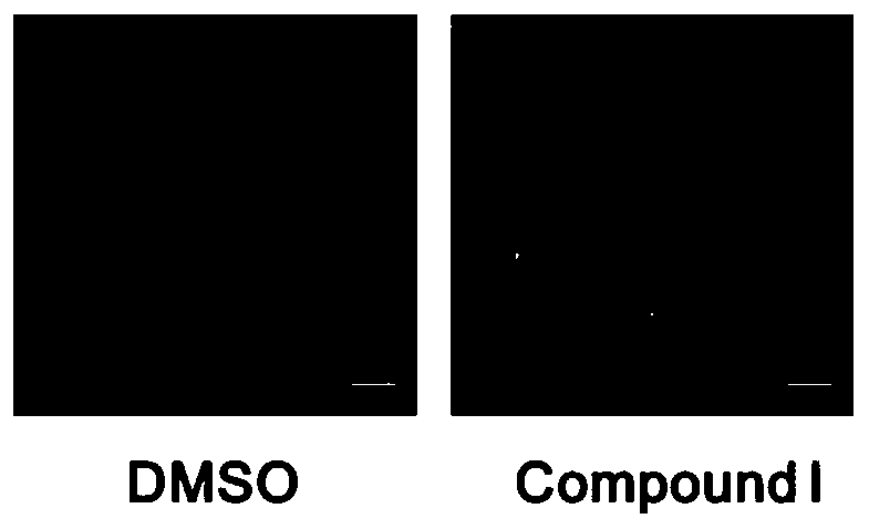 New purpose of perazine hydrochloride type compound