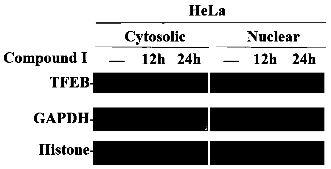 New purpose of perazine hydrochloride type compound