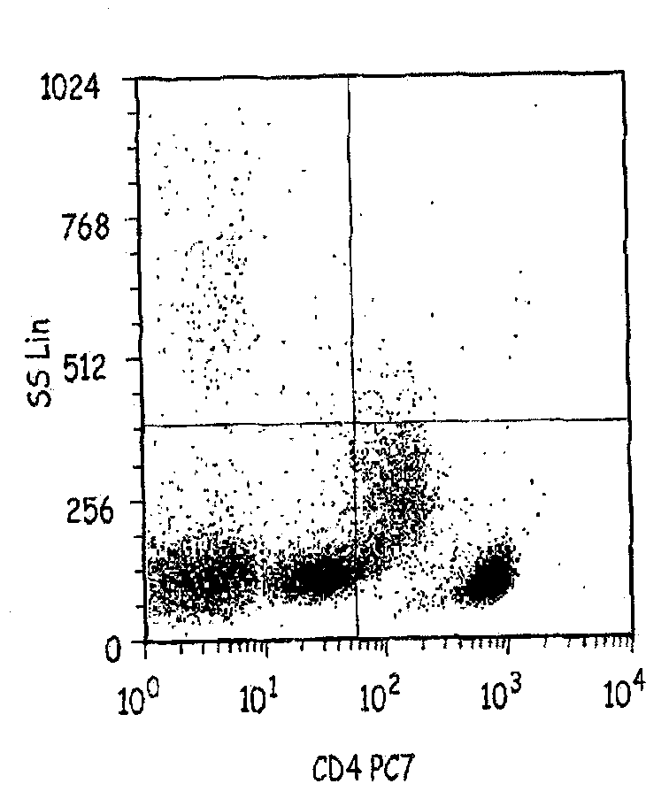 Cells expressing th1 characteristics and cytolytic properties