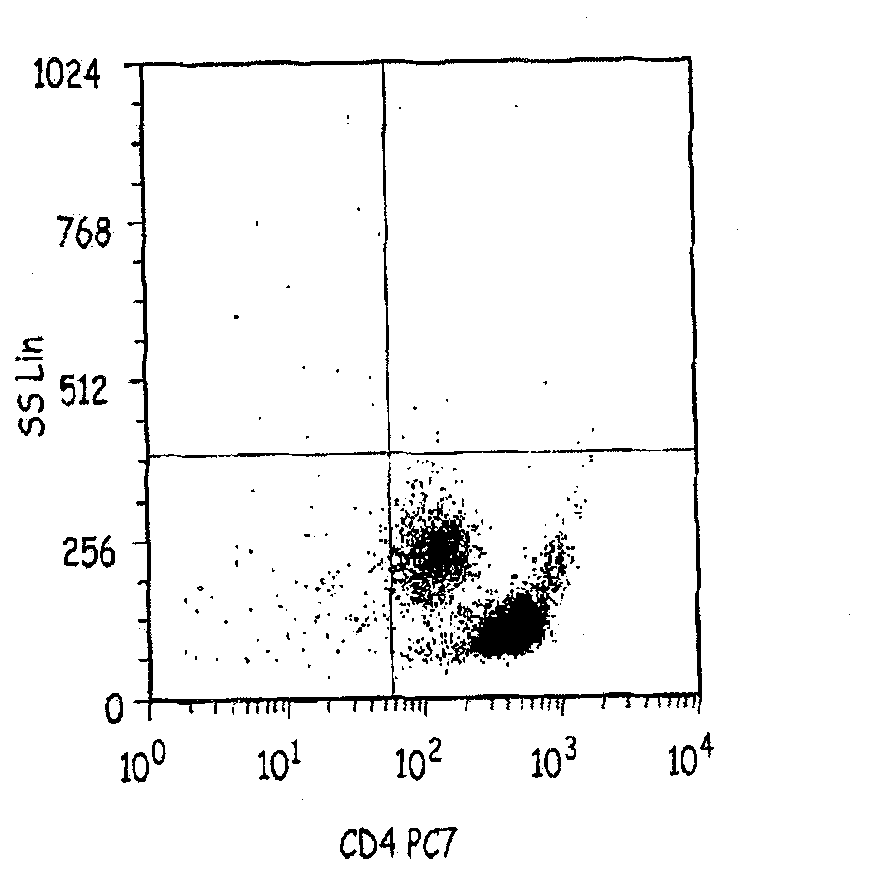 Cells expressing th1 characteristics and cytolytic properties