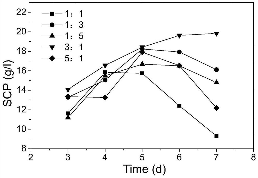 Method for producing single-cell protein by mixing trichoderma reesei and saccharomyces cerevisiae to ferment white spirit vinasse