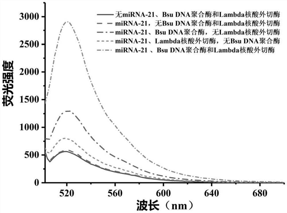 Method for detecting target miRNA based on G-quadruplex molecular beacon double-enzyme cascade isothermal amplification