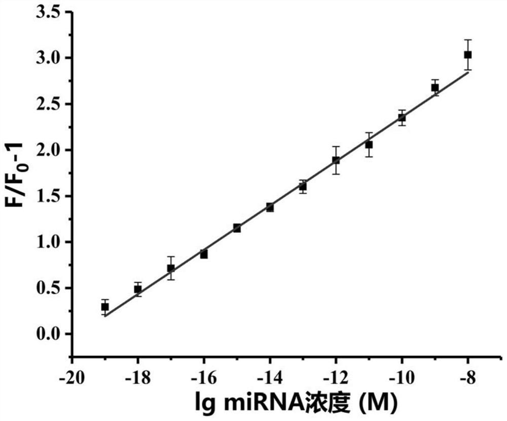 Method for detecting target miRNA based on G-quadruplex molecular beacon double-enzyme cascade isothermal amplification